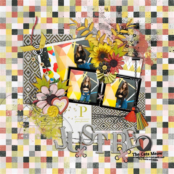 TNP_TCM_TL2_Custom_
