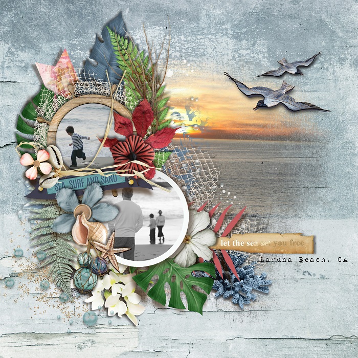 TNP_TROPICALBREEZE_TL1