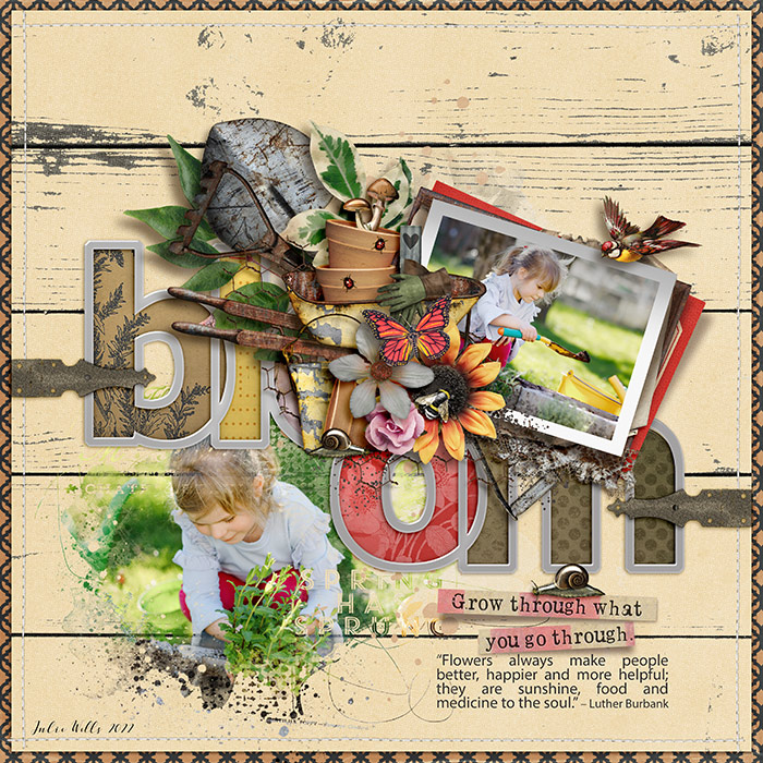 TNP_bloom_4March