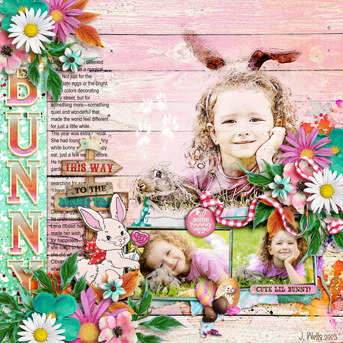 TNP_bunny
