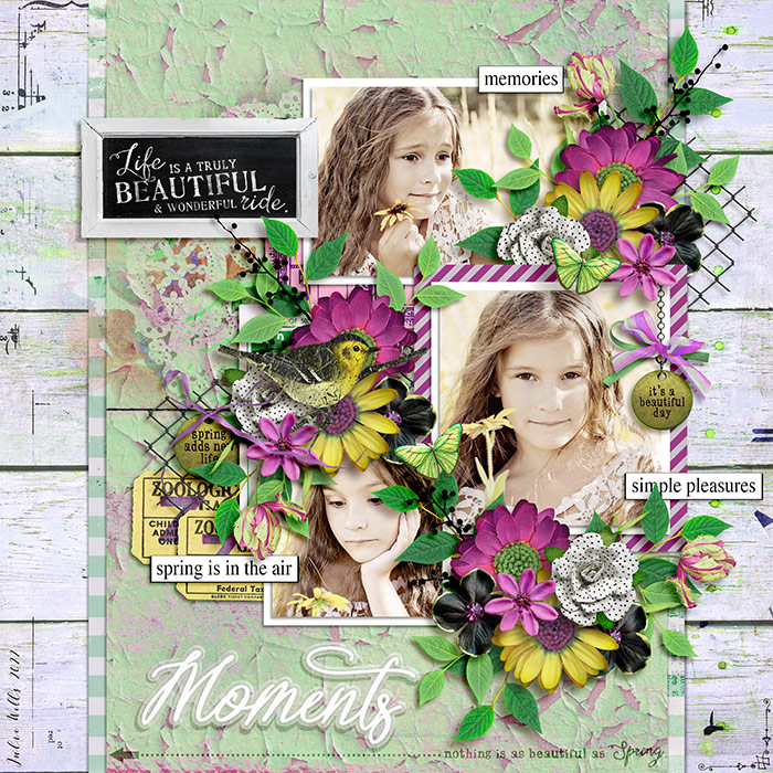 TNP_moments1
