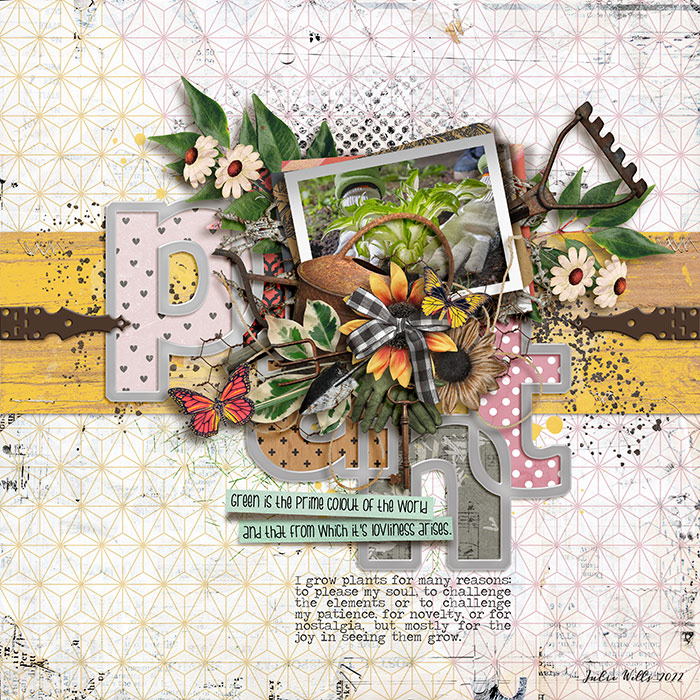 TNP_plant