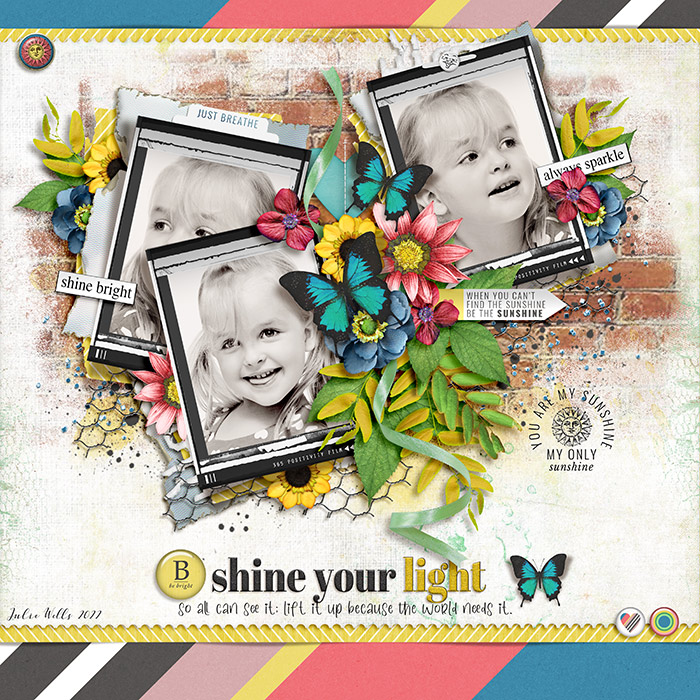 TNP_shine-your-light