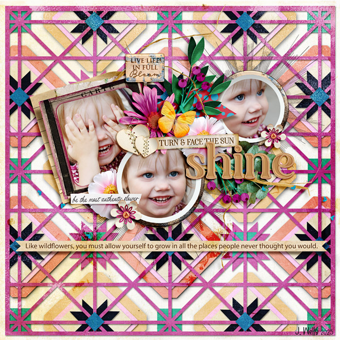 TNP_shine
