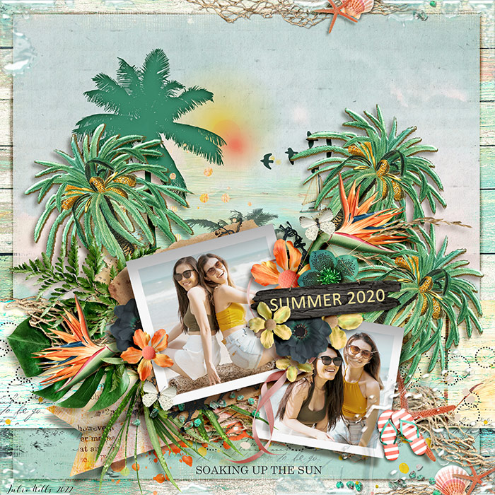 TNP_summer-2020