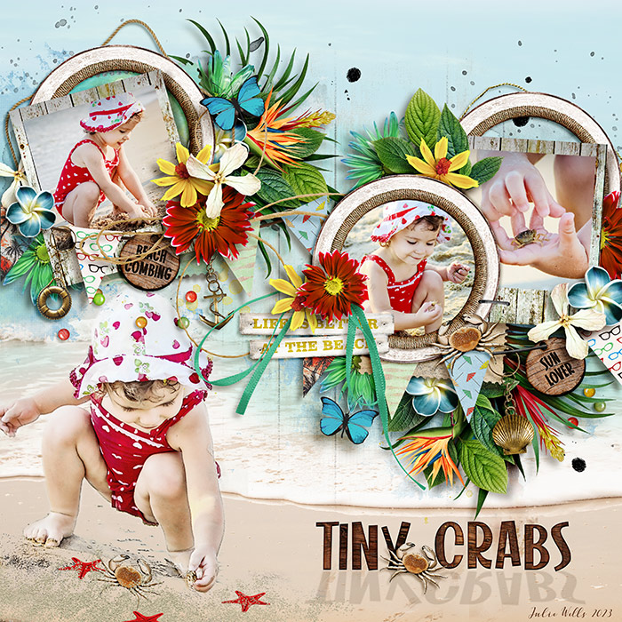 TNP_tiny-crabs
