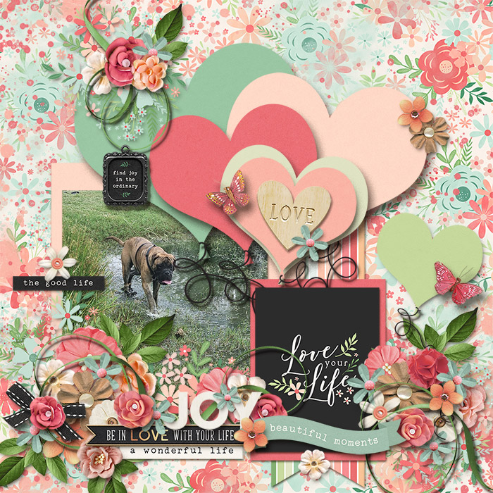 alchemywildstudio-2sidesofLOVE-JenniR