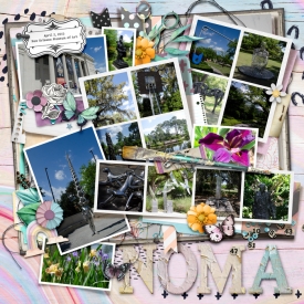 2015-04-02_NOMA_WEB.jpg