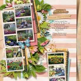 2018_09_23_Fresh-Flowers.jpg