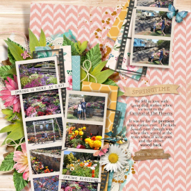 2018_09_23_Springtime.jpg