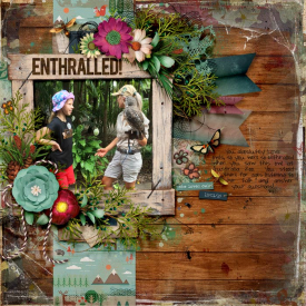 2019_01_18_Enthralled.jpg