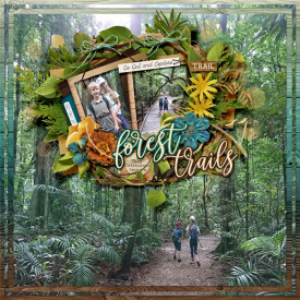 2019_04_22_Forest-Trails.jpg