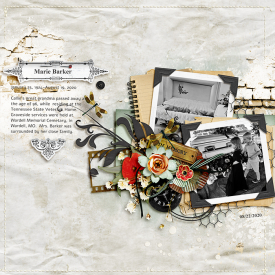 700tnp-REMEMBERTHEM-pd1-Tammy1.jpg