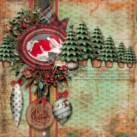 A-Bush-Christmas-2.jpg