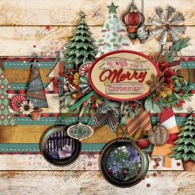 Bush-Christmas-700-492.jpg
