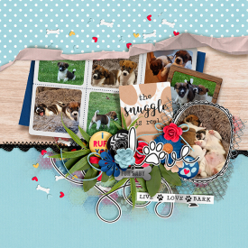 Live-love-bark-700-490.jpg