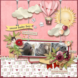 Sweet-baby-Boy700.jpg