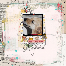 TNP-aniftytoolkit-PhotoMounts-TRACY.jpg