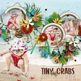 TNP_tiny-crabs.jpg