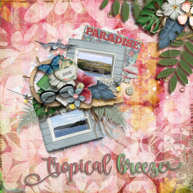jcd-tnp-tropicalbreeze-Aud_LO2.jpg