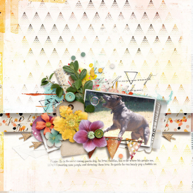 lgrieveson_tnp_scrapstacks11_Tracy.jpg