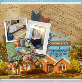 prd_tnp_FIXERUPPER_CharleneLO2.jpg