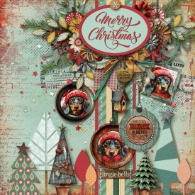 tnp-ABUSHCHRISTMAS-JenniR.jpg