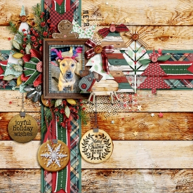 tnp-ABUSHCHRISTMAS-TammyLO1.jpg