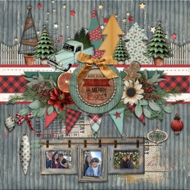 tnp-ABushChristmas-Trish01.jpg