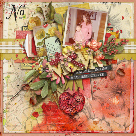 tnp-AMOMENTINTIME_bundle-CharleneLO2.jpg