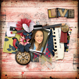 tnp-BUILDABUNTING-Evelyn-LO1.jpg
