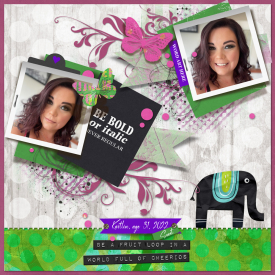 tnp-DSD2020-PageDraft-W.jpg