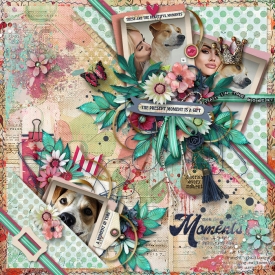 tnp-ENJOYEVERYMOMENT-JenniR.jpg