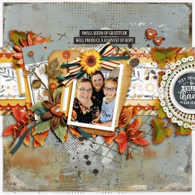 tnp-HARVESTTABLEv2-TammyLO1.jpg
