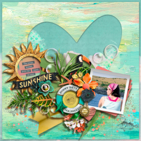 tnp-HERECOMESTHESUN-PD3.jpg