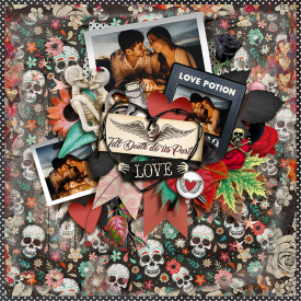 tnp-LOVEPOTION-pd3.jpg