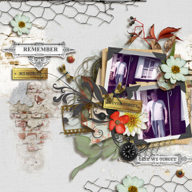 tnp-REMEMBERTHEM-pd1-Aud_LO1.jpg