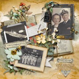 tnp-REMEMBERTHEM-pd2-Char-LO1.jpg