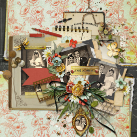 tnp-REMEMBERWHEN-JENNIR-LO1.jpg