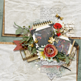 tnp-Remember_Them-Lisa-LO1.jpg