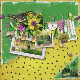 tnp-SPRINGFLING-Charlene.jpg