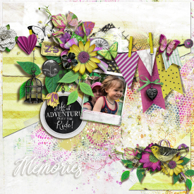 tnp-SPRINGFLING-pd2.jpg