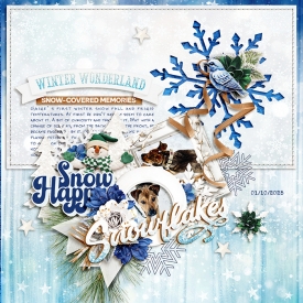 tnp-TWOSIDESOFSEASONSv1-TammyLO1.jpg