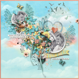 tnp-YOU_VE-GOT-WINGS--JenniR-LO1.jpg