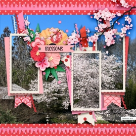 tnp-iNSD2022-PageDraft-Evelyn-4176298575.jpg