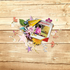 tnp-lgrieveson-scrapstackNo4-TRACY.jpg