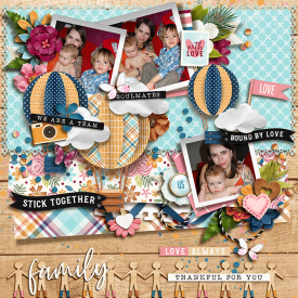 tnp-thejourney-pd1-Aud_LO1.jpg