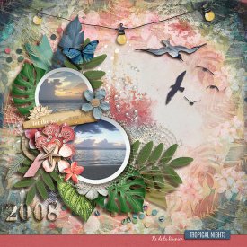 tnp-tropicalbreeze-pd1-Aud_LO1.jpg