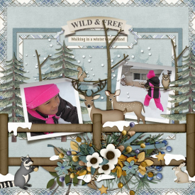 tnp-winterwoods-pd3-Esther_LO2-min.jpg