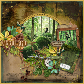 tnp_ADVENTUREWALK_CharleneLO1.jpg